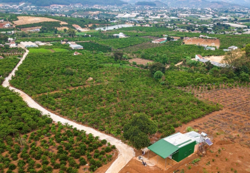 ĐẤT BẢO LỘC TĂNG GIÁ