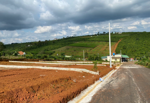 Cầu nhiều, cung ít, đất nền tách thửa chiếm sóng đầu tư tại Lâm Đồng